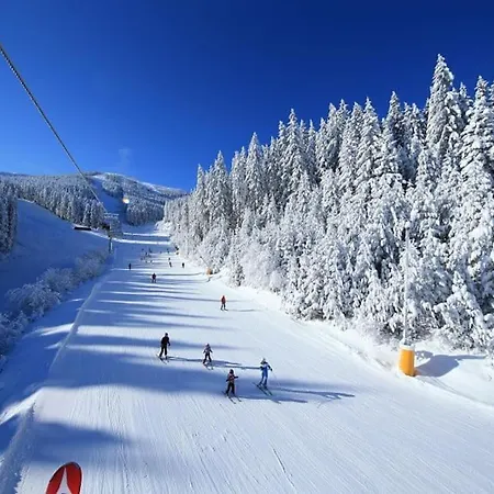 Host2u Penthouse Sauna, Jacuzzi, Fireplace Apartment Bansko