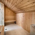 Host2u Penthouse Sauna, Jacuzzi, Fireplace *