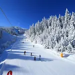 Host2u Penthouse Sauna, Jacuzzi, Fireplace Appartement Bansko
