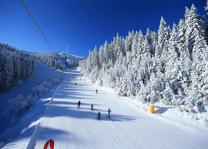 Host2u Penthouse Sauna, Jacuzzi, Fireplace Apartment Bansko